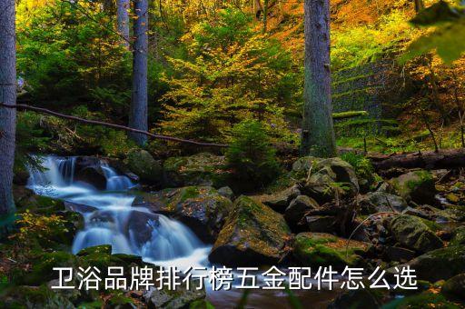  衛(wèi)浴品牌排行榜五金配件怎么選