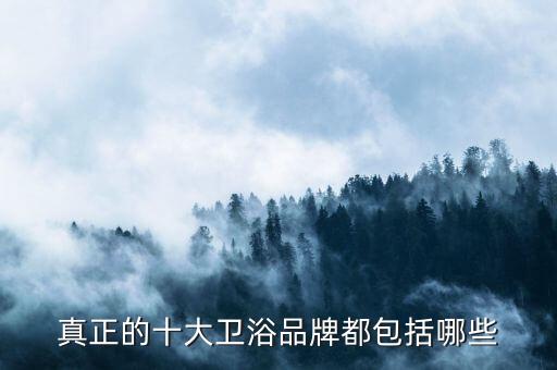東營歐路莎衛(wèi)浴品牌,歐路莎衛(wèi)浴售后維修