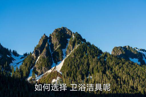 冠峰衛(wèi)浴價(jià)格查詢表圖片,duravit衛(wèi)浴價(jià)格查詢