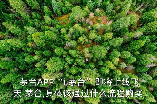 衛(wèi)浴出口茅臺(tái)預(yù)約圖片真實(shí)