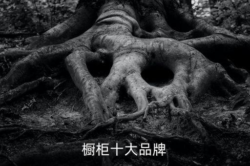 南京衛(wèi)浴柜定制電話大全