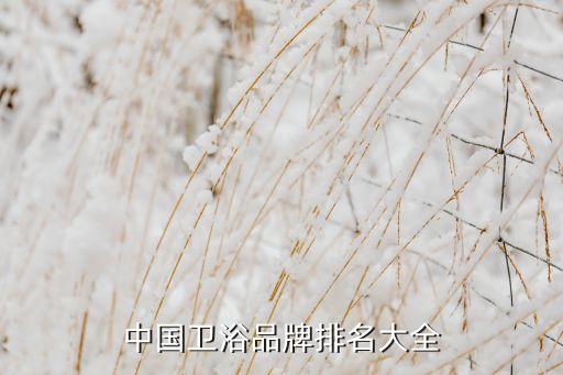 榆林衛(wèi)浴潔具電話,佳木斯市維修衛(wèi)浴潔具電話