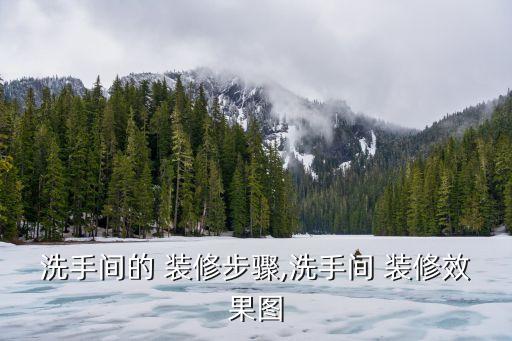 洗手間的 裝修步驟,洗手間 裝修效果圖
