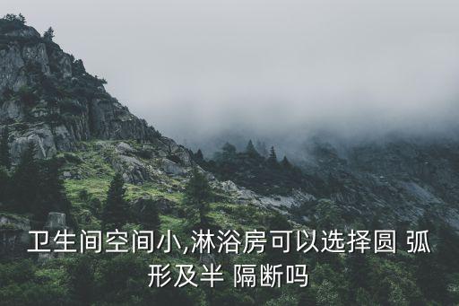 衛(wèi)浴弧形隔斷效果圖片大全