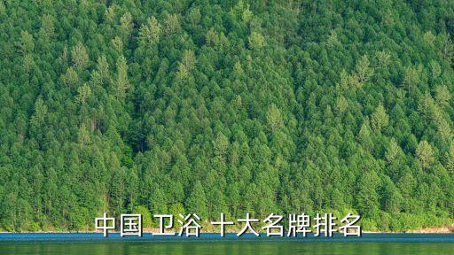 中國十大衛(wèi)浴品牌銷售榜