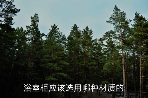 浴室柜應(yīng)該選用哪種材質(zhì)的