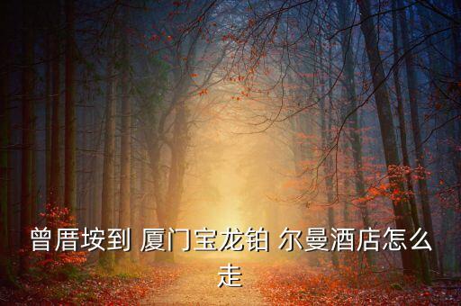 廈門鉑爾曼衛(wèi)浴招聘電話,廈門寶龍鉑爾曼大酒店招聘信息