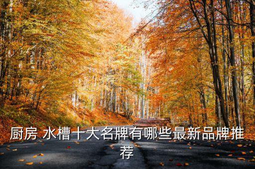 廚房 水槽十大名牌有哪些最新品牌推薦