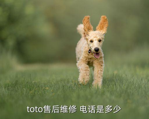 toto售后維修 電話是多少