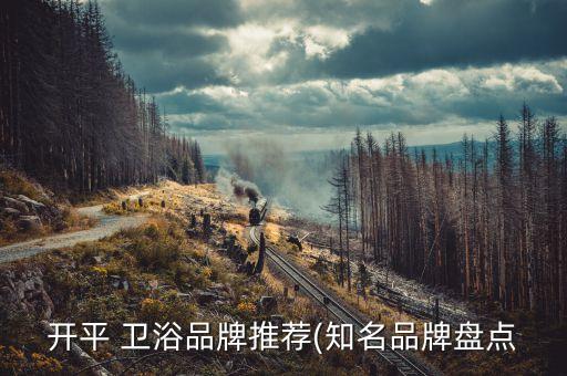 開平 衛(wèi)浴品牌推薦(知名品牌盤點