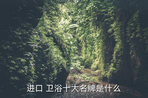 進(jìn)口 衛(wèi)浴十大名牌是什么