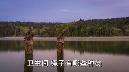 衛(wèi)生間 鏡子有哪些種類