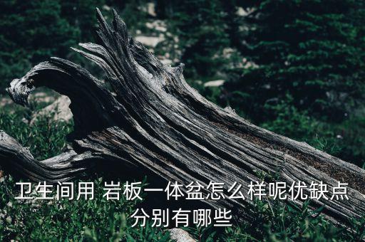 雙層巖板衛(wèi)浴圖片欣賞大全,巖板衛(wèi)浴臺(tái)面圖片欣賞