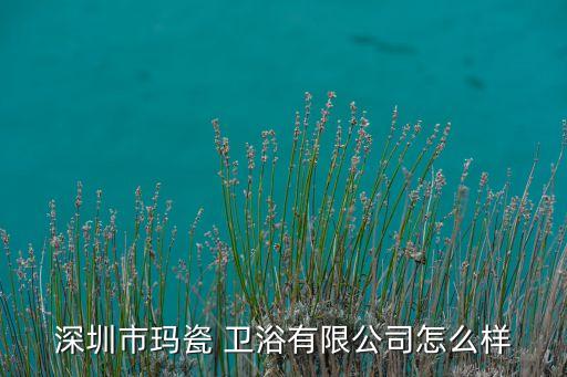 深圳市瑪瓷 衛(wèi)浴有限公司怎么樣