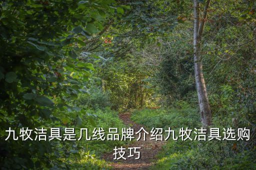 九牧潔具是幾線品牌介紹九牧潔具選購技巧