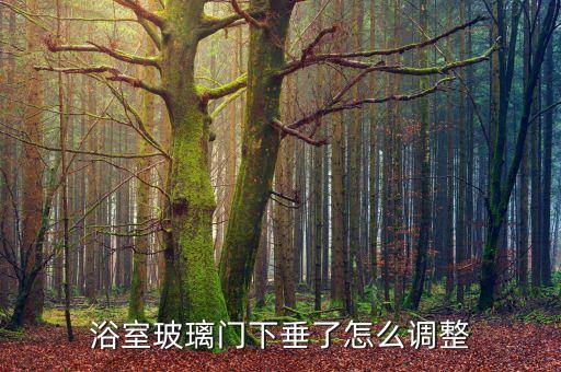 浴室玻璃門下垂了怎么調(diào)整