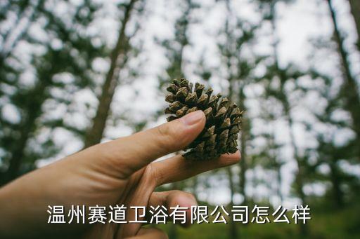 溫州賽道衛(wèi)浴有限公司怎么樣