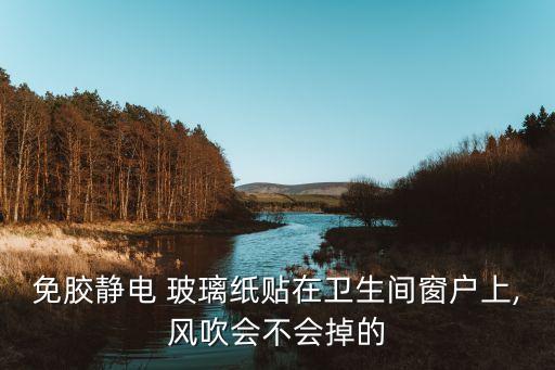 衛(wèi)浴玻璃貼花透明黑白圖片