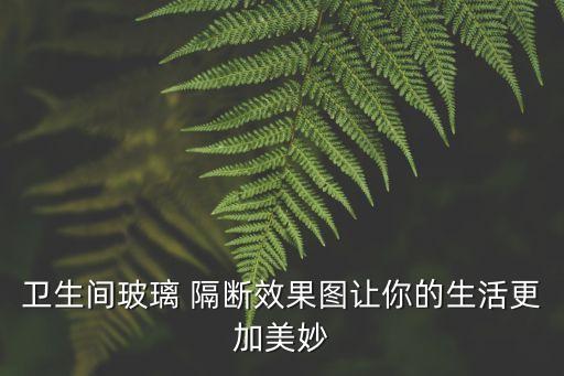 衛(wèi)生間玻璃 隔斷效果圖讓你的生活更加美妙