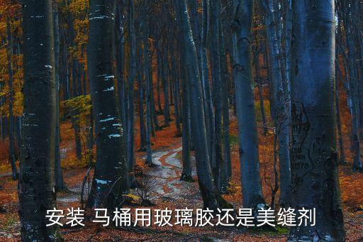 安裝 馬桶用玻璃膠還是美縫劑