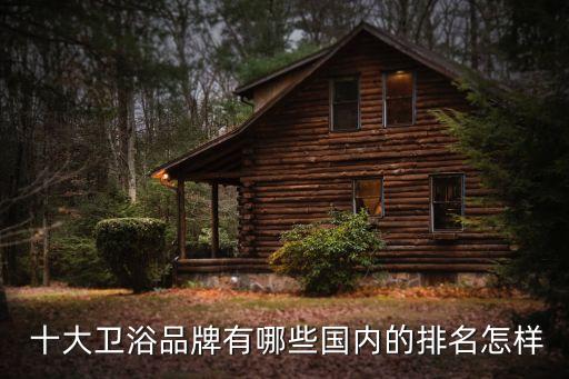  十大衛(wèi)浴品牌有哪些國內(nèi)的排名怎樣