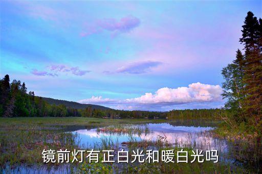 鏡前燈有正白光和暖白光嗎