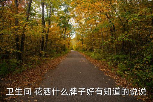 衛(wèi)生間 花灑什么牌子好有知道的說說