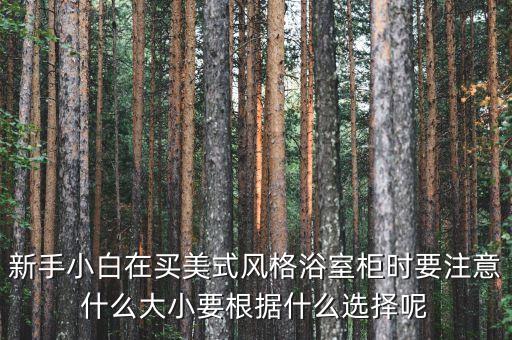 衛(wèi)浴柜圖片尺寸