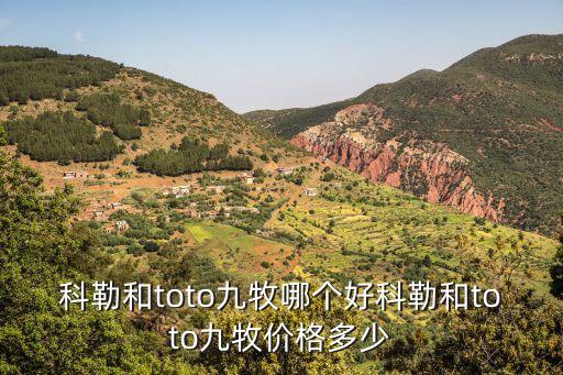 科勒和toto九牧哪個好科勒和toto九牧價格多少