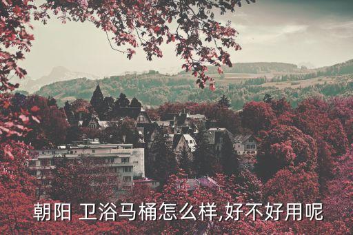 朝陽 衛(wèi)浴馬桶怎么樣,好不好用呢