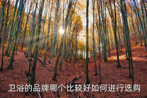  衛(wèi)浴的品牌哪個比較好如何進行選購