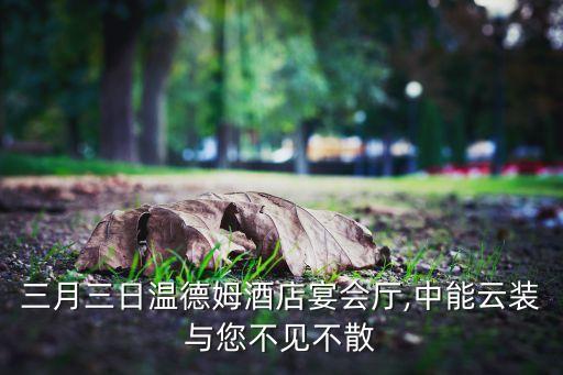 三月三日溫德姆酒店宴會(huì)廳,中能云裝與您不見不散
