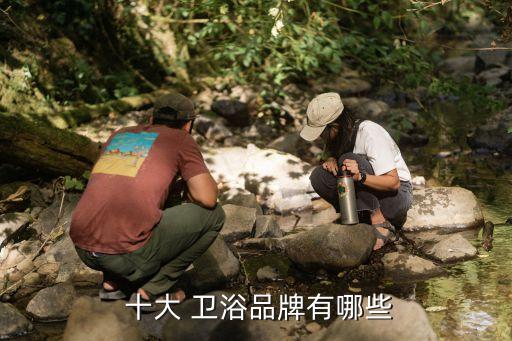  十大 衛(wèi)浴品牌有哪些