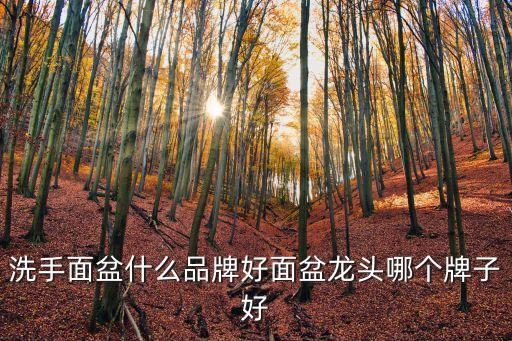 洗手面盆什么品牌好面盆龍頭哪個牌子好