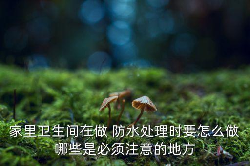 家里衛(wèi)生間在做 防水處理時(shí)要怎么做哪些是必須注意的地方