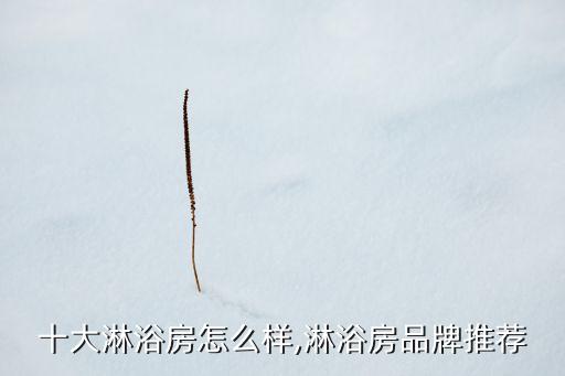 十大淋浴房怎么樣,淋浴房品牌推薦