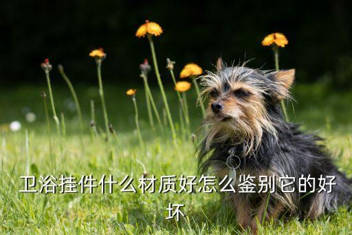 郴州衛(wèi)浴回收公司地址查詢