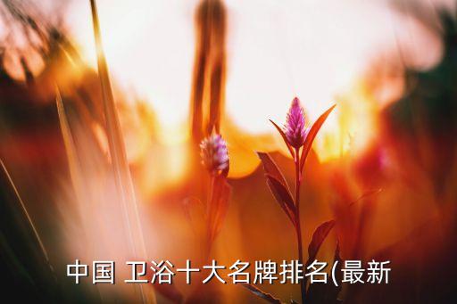 中國 衛(wèi)浴十大名牌排名(最新
