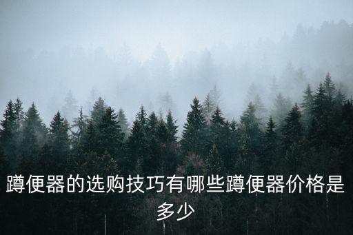 蹲便器的選購技巧有哪些蹲便器價格是多少