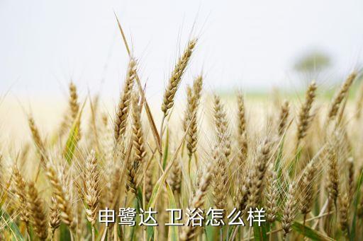 申鷺達(dá) 衛(wèi)浴怎么樣