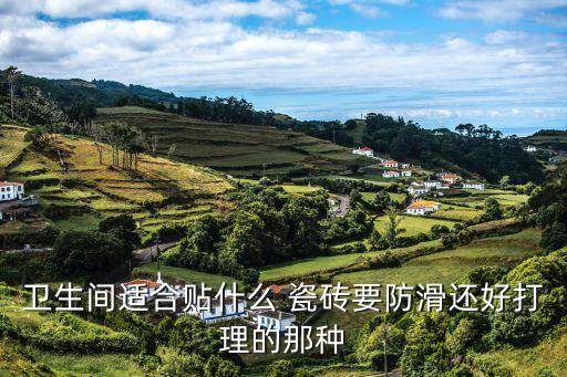 衛(wèi)生間適合貼什么 瓷磚要防滑還好打理的那種