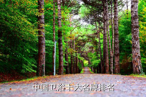中國衛(wèi)浴十大名牌排名