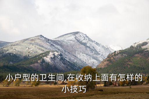 灰色石英石衛(wèi)浴柜圖片