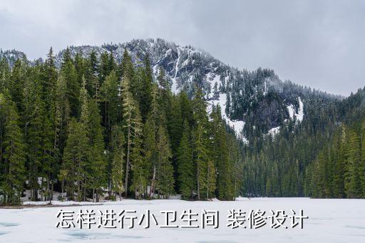 怎樣進(jìn)行小衛(wèi)生間 裝修設(shè)計(jì)