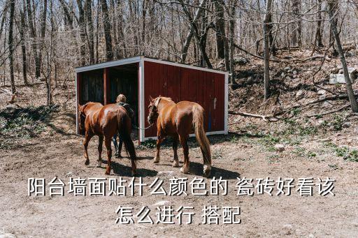 陽臺衛(wèi)浴瓷磚搭配圖片大全