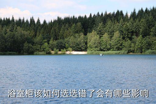 雙盆衛(wèi)浴柜定制設計圖片,定制臺下盆衛(wèi)浴柜圖片