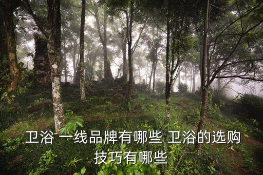 一線衛(wèi)浴品牌銷售渠道,衛(wèi)浴行業(yè)的銷售渠道
