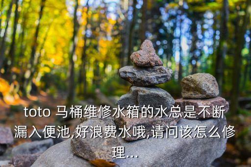 衛(wèi)浴馬桶注漿圖片,馬桶衛(wèi)浴一線品牌有哪些