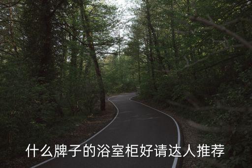 什么牌子的浴室柜好請(qǐng)達(dá)人推薦