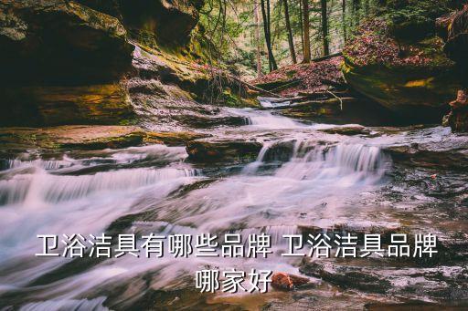  衛(wèi)浴潔具有哪些品牌 衛(wèi)浴潔具品牌哪家好